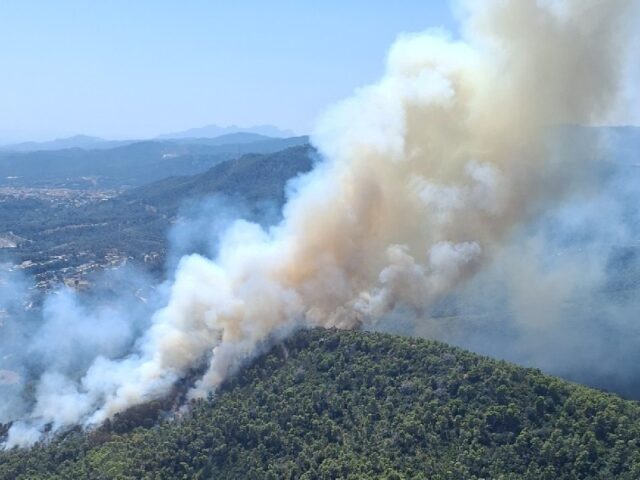 noticia_1783355611.jpg