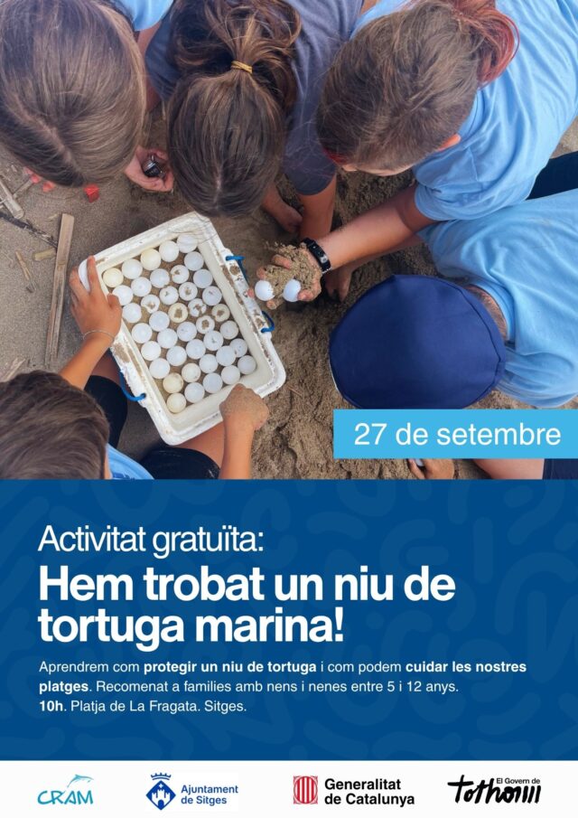 noticia_1789380811.jpg