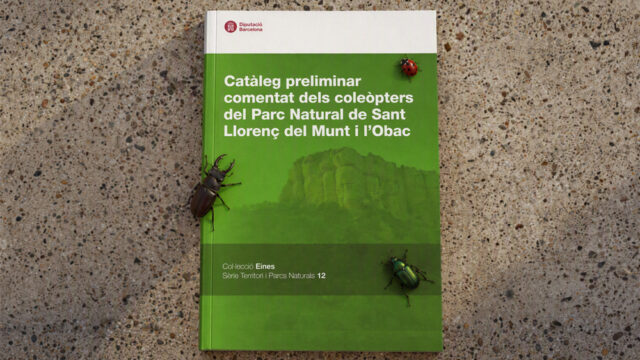 noticia_1793110643.jpg